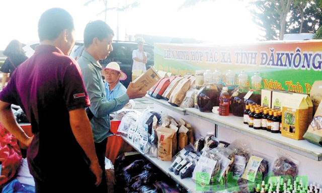 Đắk Nông đang làm tốt xúc tiến thương mại cho sản phẩm của các HTX