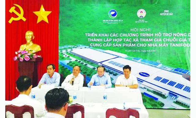 Hội nghị triển khai các chương trình hỗ trợ nông dân, thành lập HTX tham gia chuỗi giá trị cung cấp sản phẩm cho nhà máy Tanifood