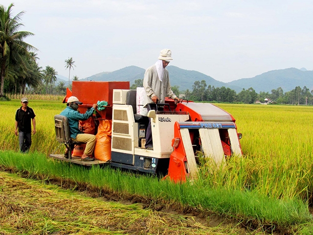 Các HTX nông nghiệp đang có đóng góp quan trọng trong xóa đói, giảm nghèo tại Phù Mỹ