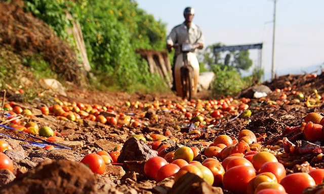 Giải pháp hay chính sách nào thì mục tiêu cuối cùng phải giúp cho nông dân có đời sống no đủ