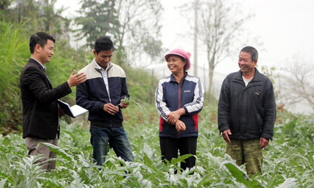 Giám đốc Phạm Văn Điều (trái) trao đổi với người dân kỹ thuật trồng atiso