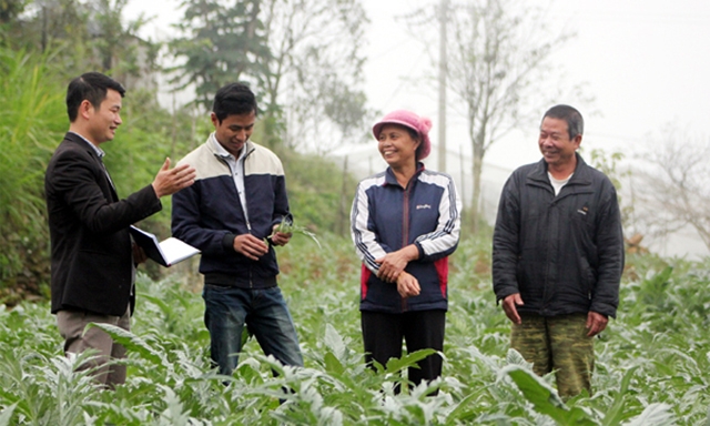 Giám đốc Phạm Văn Điều (trái) trao đổi với người dân kỹ thuật trồng atiso