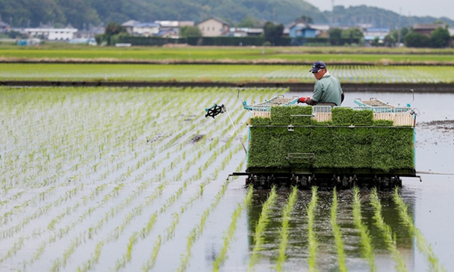 Gia Lai đang ưu tiên nguồn lực nâng tầm HTX