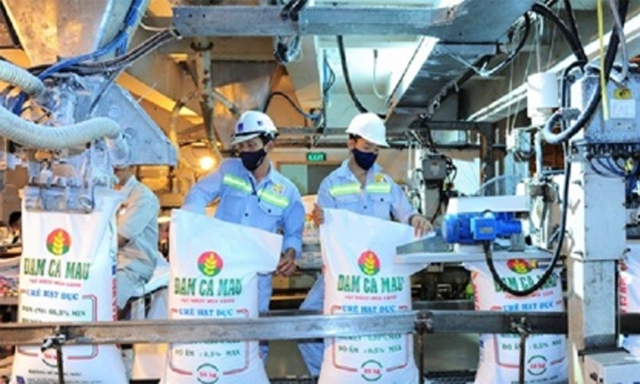 DCM đã trải qua 6 phiên tăng giá liên tiếp, đã cứu cổ phiếu này không rơi khỏi mệnh giá