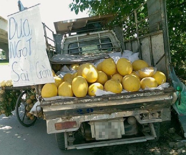 Dưa vàng Trung Quốc được rao bán là dưa Sài Gòn