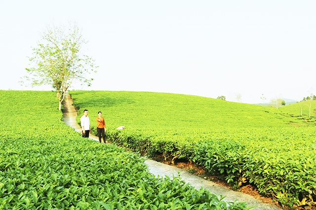 Giao thông nội đồng được hoàn thiện, đảm bảo sản xuất cho người dân