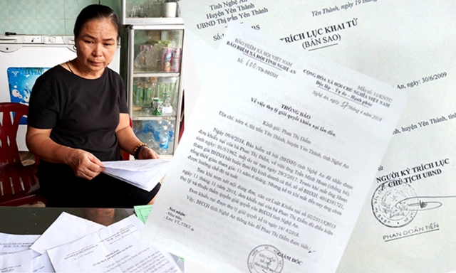 Bà Phan Thị Điểm ngậm ngùi trình bày sự việc