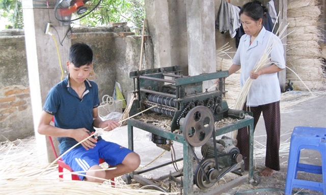 HTX đã tạo việc làm và thu nhập cho 1.000 lao động