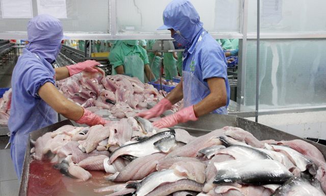 Để cạnh tranh, tự thân các DN thủy sản phải có những thay đổi tích cực