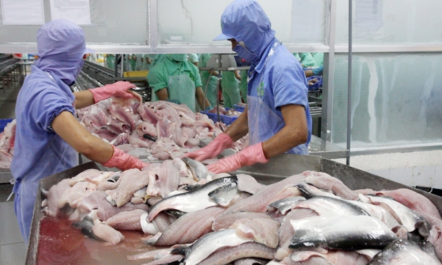 Để cạnh tranh, tự thân các DN thủy sản phải có những thay đổi tích cực