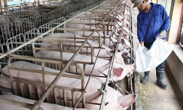 Mục đích của Luật Chăn nuôi là để ngành chăn nuôi sản xuất lớn