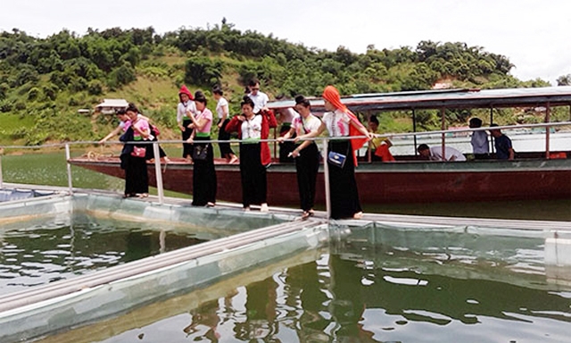 Du khách tham quan lòng hồ và tham quan khu nuôi cá lồng của HTX