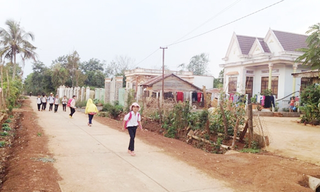 Xã Ea Kiết phong quang nhờ HTX