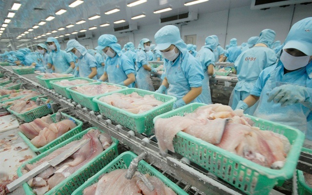 Xuất khẩu cá tra vẫn khá sáng sủa