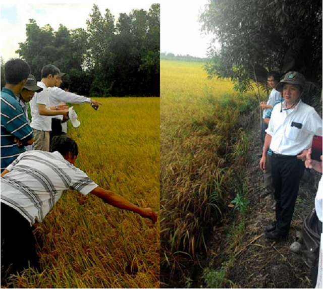 Đại diện NISSAN