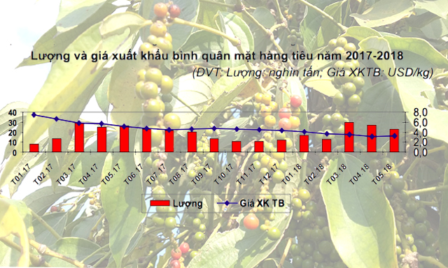 Giá tiêu xuất khẩu giảm mạnh từ năm 2017 đến nay