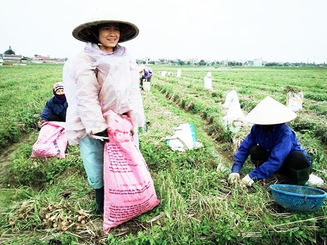 Bộ mặt nông thôn xã Thạch Lỗi đang có chuyển biến tích cực nhờ NTM