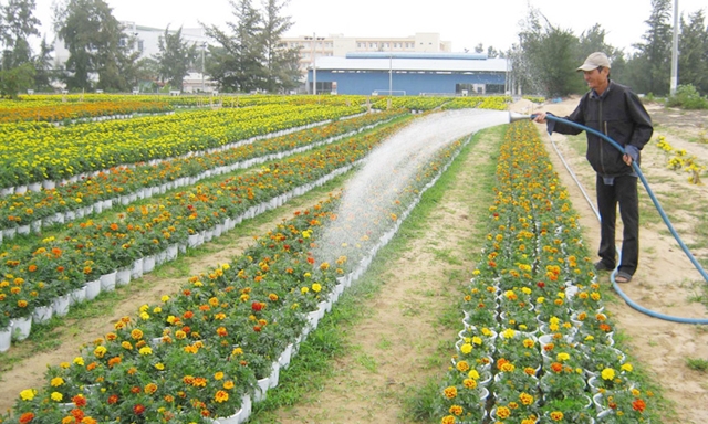 Nhân lực và ATLĐ đang là hai yếu tố cốt lõi trong phát triển HTX tại Phú Yên