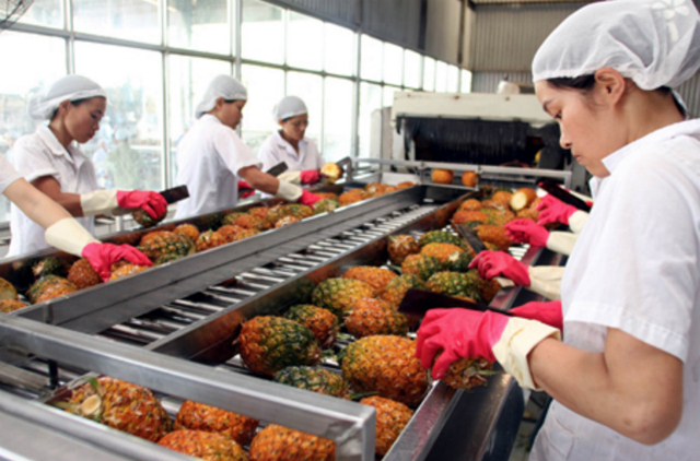 Kim ngạch xuất khẩu sang thị trường Trung Quốc chiếm tới gần 75% tổng giá trị xuất khẩu hàng rau quả (ảnh minh họa)