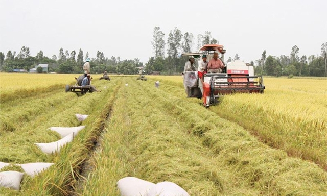 Nhiều mô hình đạt hiệu quả nhưng chưa được nhân rộng