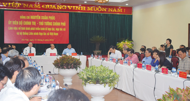 Bà Lưu Thị Chỉ - Chủ tịch Liên minh HTX tỉnh Thái Bình kiến nghị Thủ tướng Chính phủ về phát triển Liên minh HTX và HTX