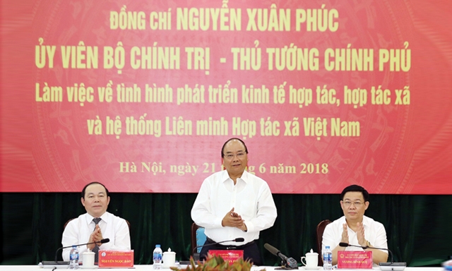 Một lợi thế của HTX không thể bỏ qua là xu hướng liên kết với DN, kể cả DN nước ngoài – vốn có tiềm lực lớn về tài chính, công nghệ và khả năng tổ chức thị trường đầu tư vào nông nghiệp, đang ngày càng tăng lên.