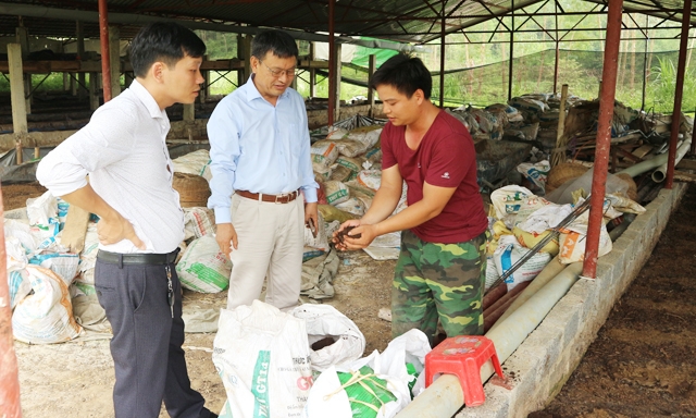 Anh Ngô Minh Hồng chọn con đường HTX để làm giàu