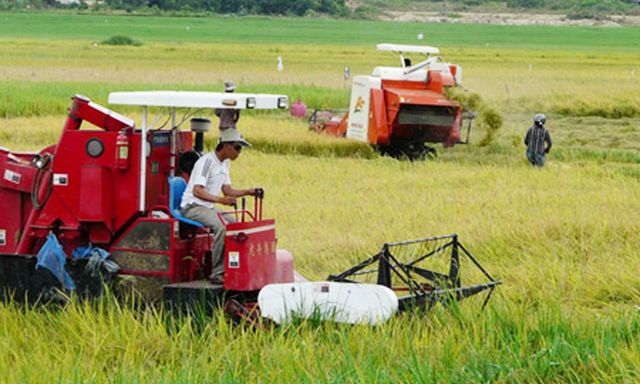 Máy móc được sử dụng phổ biến trên cánh đồng HTX