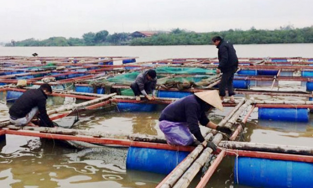 Các HTX đang tạo “cú hích” cho ngành thủy sản tỉnh Hà Tĩnh