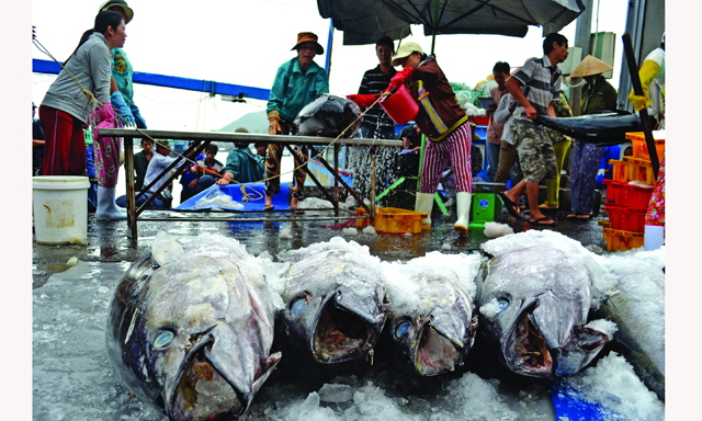 Còn nhiều khó khăn phía trước cho xuất khẩu thuỷ hải sản vào thị trường EU