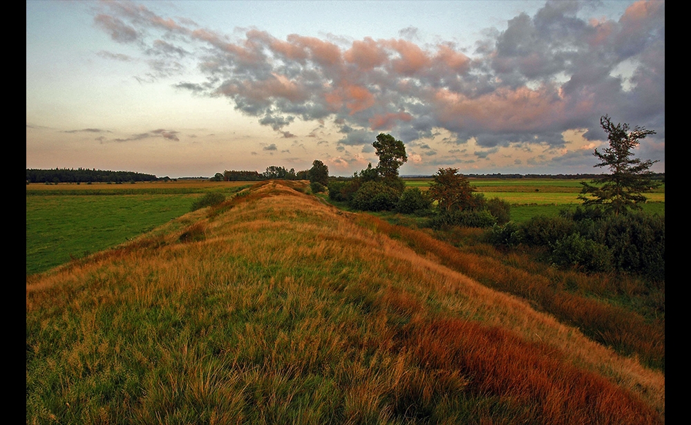 Khu khảo cổ biên giới Hedeby và Danevirke, Đức Hedeby là một địa điểm khảo cổ có chứa phần còn lại của một thành phố thương mại với các dấu vết của đường phố, tòa nhà, nghĩa địa và một cảng có niên đại từ 1 và đầu thế kỷ thứ 2 sau Công nguyên. Nó được bao quanh bởi một phần của sông Danevirke, một đường pháo đài băng qua eo biển Schleswig Isthmus, ngăn cách bán đảo Jutland với phần còn lại của lục địa châu Âu. Do vị trí độc đáo giữa Đế quốc Frankish ở phía Nam và Vương quốc Đan Mạch ở phía Bắc, Hedeby trở thành một trung tâm giữa lục địa châu Âu và Scandinavia và giữa Biển Bắc và Biển Baltic. Do tài liệu khảo cổ phong phú và được bảo tồn tốt, nơi đây rất có giá trị cho việc giải thích sự phát triển kinh tế, xã hội và lịch sử ở châu Âu trong thời kỳ Viking.