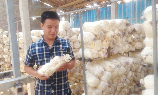 Anh Cao Minh Long giới thiệu sản phẩm nấm của cơ sở sản xuất