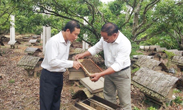 Các HTX tại Sơn Động đang có chuyển biến tích cực