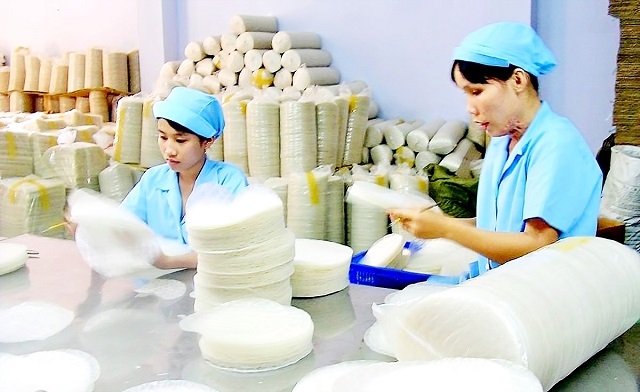 Sản phẩm của HTX được chọn lựa kỹ lưỡng trước khi xuất ra thị trường