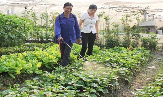 Nhu cầu tiêu dùng thực phẩm đảm bảo là biện pháp tự vệ chính đáng của người dân và cũng là cơ hội tốt cho các cơ sở sản xuất, kinh doanh thực phẩm an toàn.