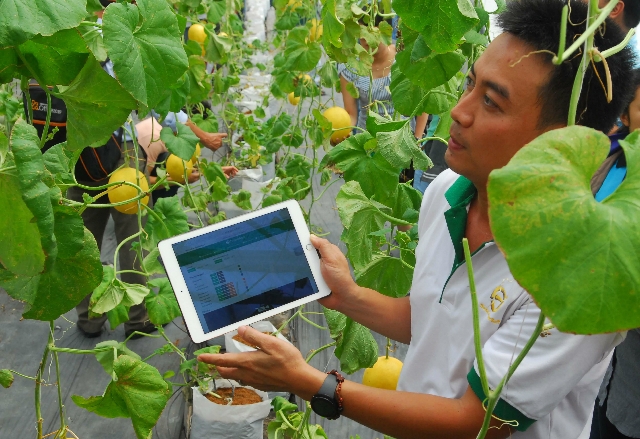 Hiện đã có 40 doanh nghiệp nông nghiệp ứng dụng công nghệ cao được cấp giấy chứng nhận (Ảnh minh họa: Internet)