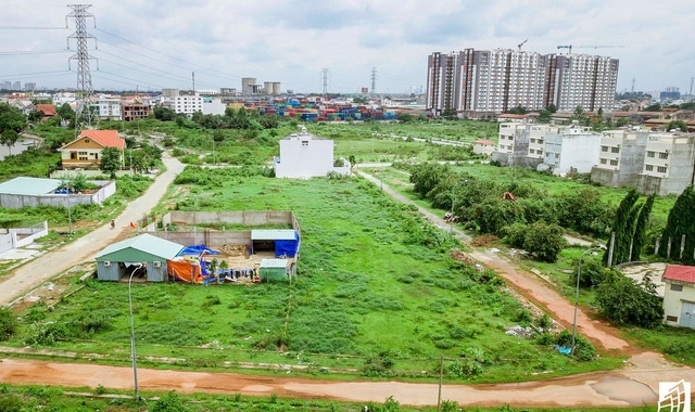 Ảnh minh họa (Nguồn Internet)