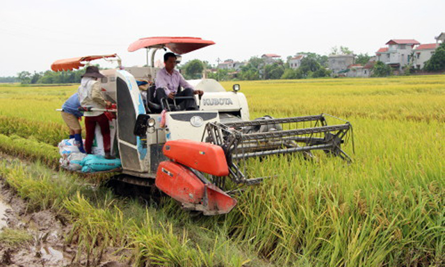 HTX đang là “bệ đỡ” cho thành viên
