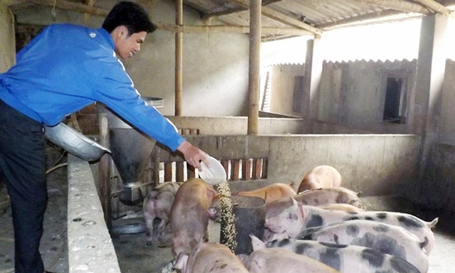 Chăn nuôi nông hộ vẫn chiếm tỷ lệ lớn nên giá thành sản phẩm cao