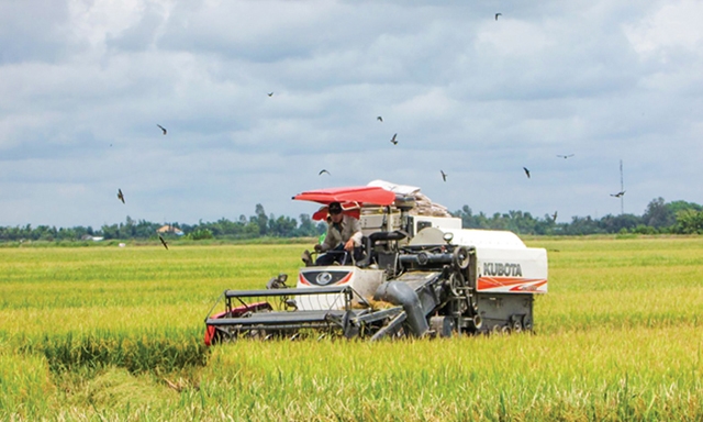 Các hoạt động dịch vụ của HTX phát huy hiệu quả cao