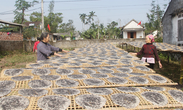 Nghề sản xuất bánh đa cho hiệu quả cao ở Việt Xuyên