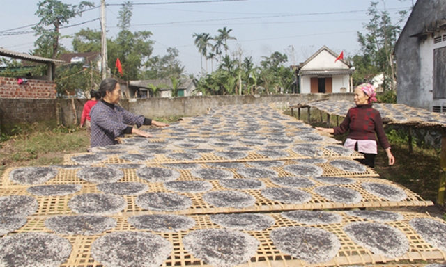 Nghề sản xuất bánh đa cho hiệu quả cao ở Việt Xuyên
