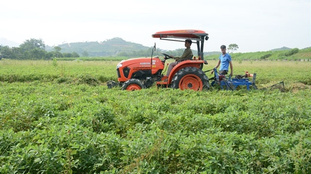 HTX đã áp dụng cơ giới hóa trong sản xuất