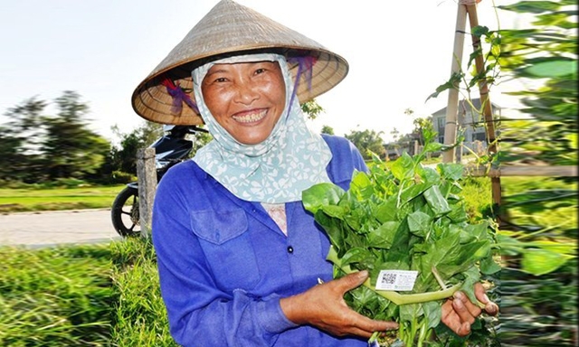 Rau hữu cơ của HTX đã được dán tem QR Code