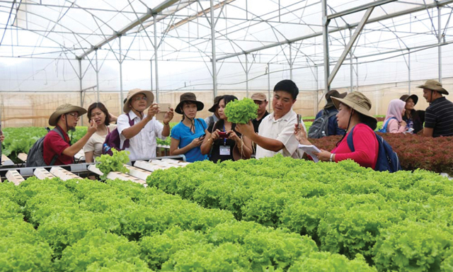 100 THT, HTX, Liên hiệp HTX tiên tiến tiêu biểu toàn quốc sẽ được biểu dương vào dịp kỷ niệm 73 năm Ngày HTX Việt Nam (11/4/2019)