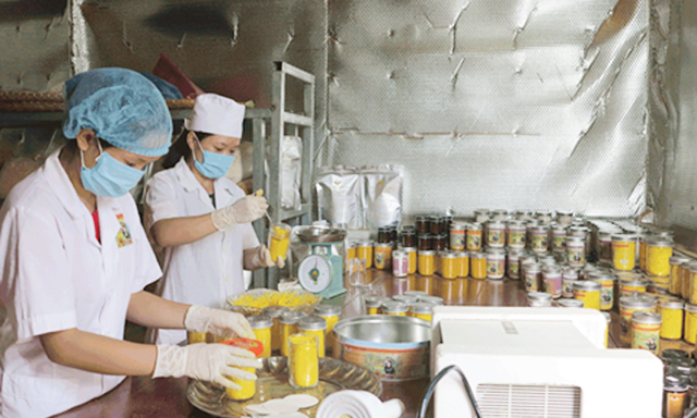 Các thành viên HTX đóng gói sản phẩm tinh bột nghệ