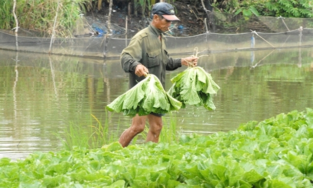 HTX chủ trương lấy thân thiện với môi trường làm nòng cốt phát triển