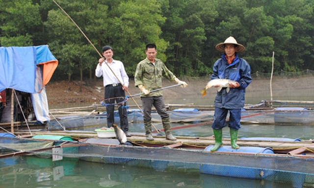 Các HTX thủy sản tại Đồng Phúc đang cho hiệu quả cao