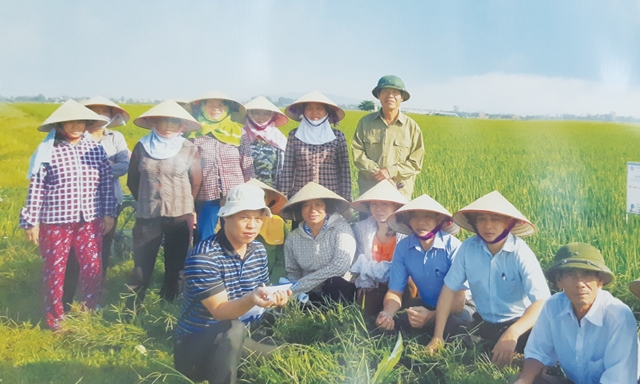 Lãnh đạo địa phương, HTX và các tổ sản xuất thăm đồng