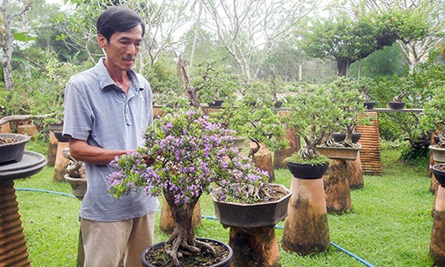 HTX đã làm chủ được quy trình trồng những cây đòi hỏi kỹ thuật cao